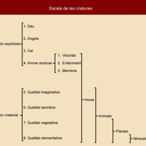 Esquema de l’escala de les criatures tal com apareix a les Arts de Ramon Llull.