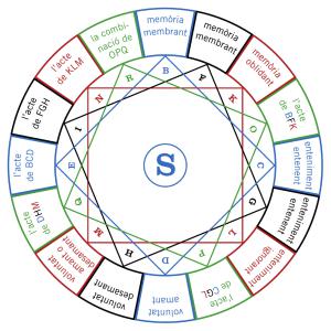 Figura S de l’Art demostrativa, representa l’ànima racional. 